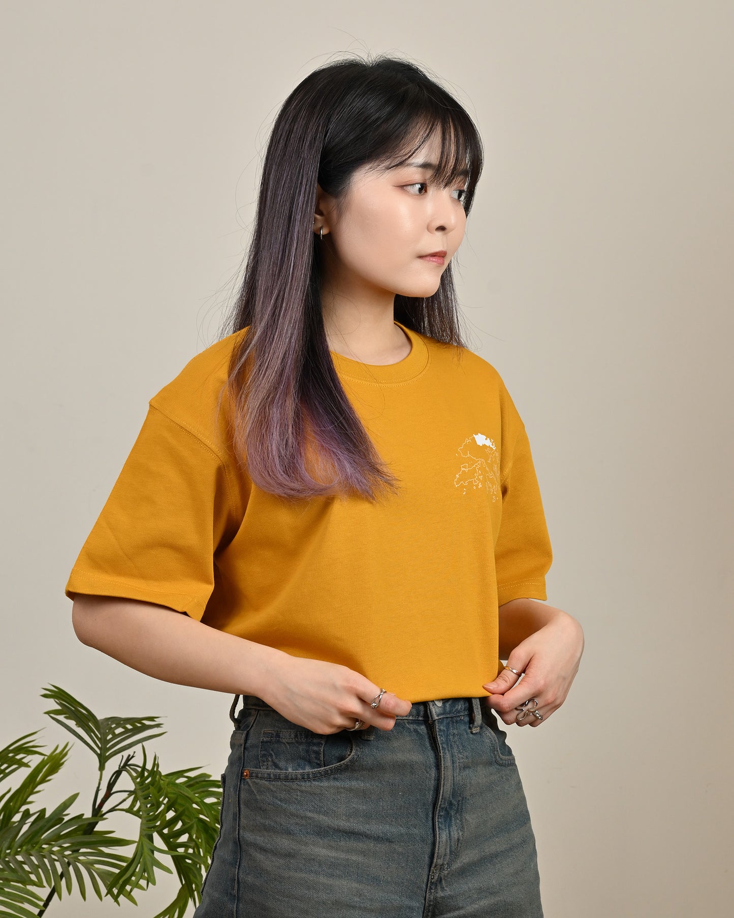 香港十八區圖案Tee (北區)